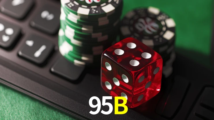Flash Promotion 95B